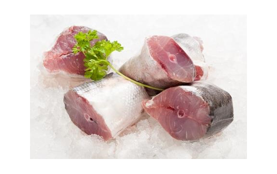Barracuda Steak