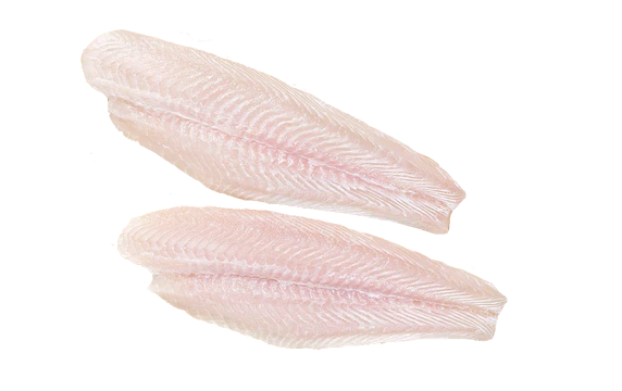 Cream Dorry Fillet