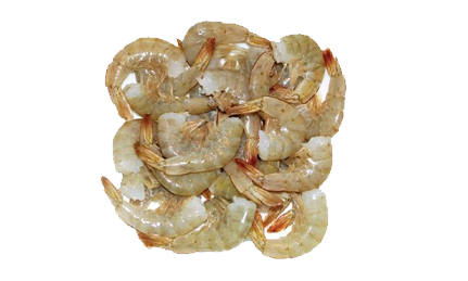 Shrimps Medium