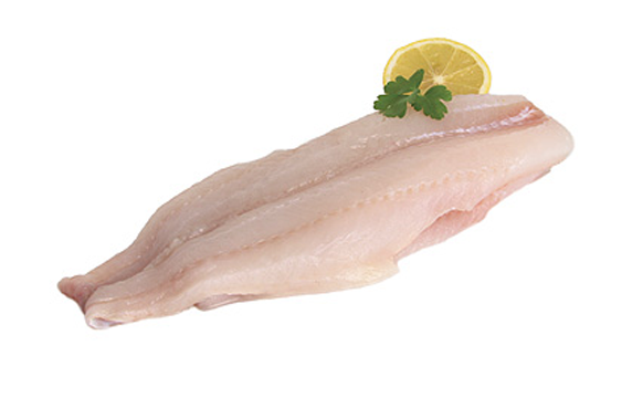 Haddock Fillet