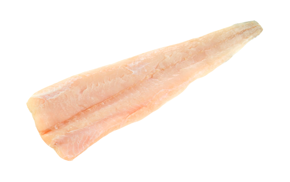 Hake Fillet