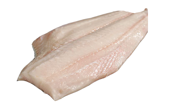 Halibut Fillet