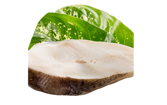 Halibut Fillet