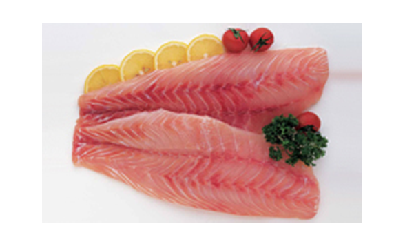 Hammour Fillets