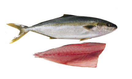 Milk Fish Steaks