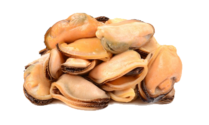 Mussel Meat