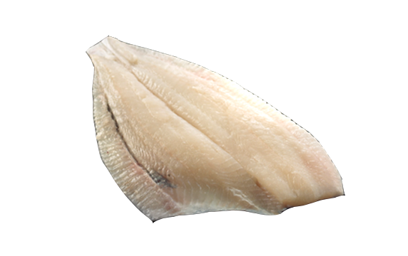 Plaice Fillet