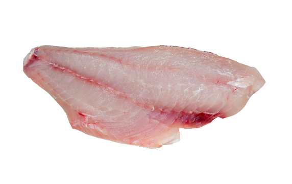 Red Snapper Fillet