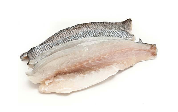 Sea Bass Fillet