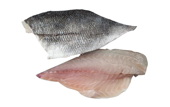 Sea Bream Fillet