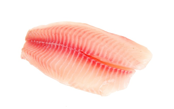 Tilapia