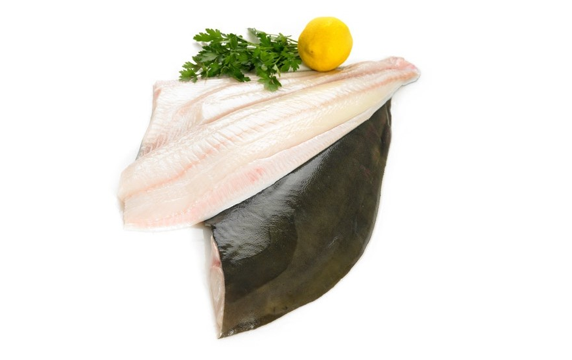 Turbot Fillet