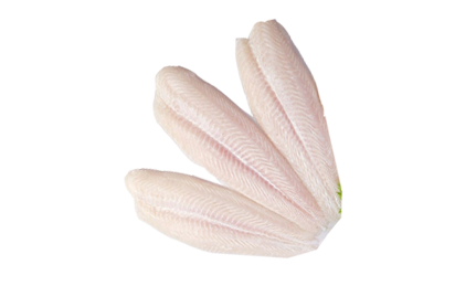 White Fish fillet